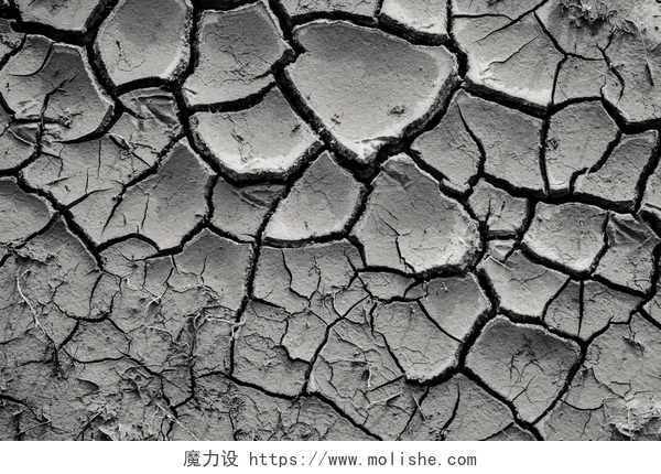 干裂的缺水地面黑色干燥地面的顶部视图, 自然背景
